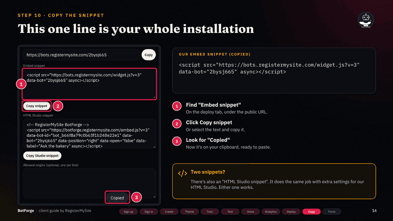 Slide 14 of 21: Copy the snippet — Copy snippet, look for Copied; the snippet text is shown.